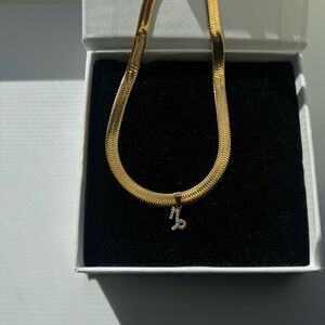 Gold Zodiac Capricorn Icy Charm Horoscope Necklace